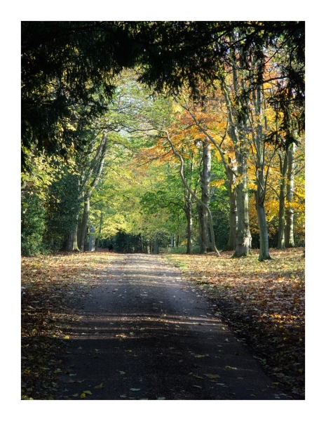 Kelvedon Hall, Brentwood